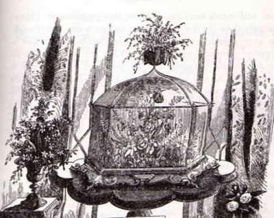 Unkillable Houseplants: What Victorian Londoners Knew